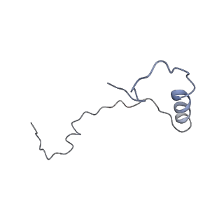 10760_6yal_i_v1-1
Mammalian 48S late-stage initiation complex with beta-globin mRNA
