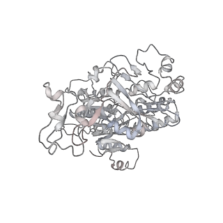 10760_6yal_k_v1-1
Mammalian 48S late-stage initiation complex with beta-globin mRNA