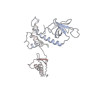 10762_6yan_A_v1-1
Mammalian 48S late-stage translation initiation complex with histone 4 mRNA