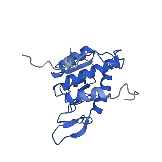 10762_6yan_C_v1-1
Mammalian 48S late-stage translation initiation complex with histone 4 mRNA