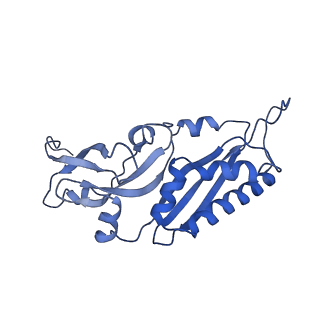 10762_6yan_D_v1-1
Mammalian 48S late-stage translation initiation complex with histone 4 mRNA