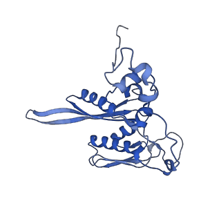 10762_6yan_E_v1-1
Mammalian 48S late-stage translation initiation complex with histone 4 mRNA