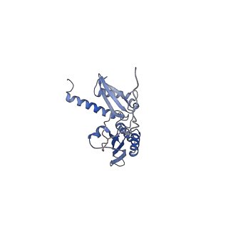10762_6yan_F_v1-1
Mammalian 48S late-stage translation initiation complex with histone 4 mRNA
