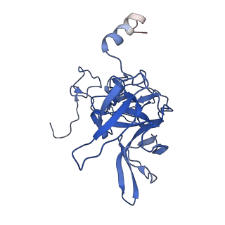 10762_6yan_G_v1-1
Mammalian 48S late-stage translation initiation complex with histone 4 mRNA