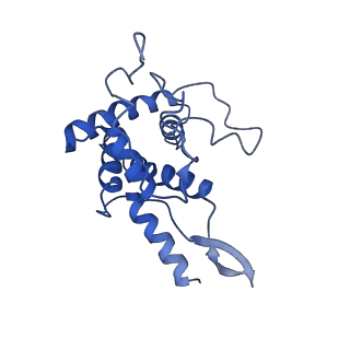 10762_6yan_H_v1-1
Mammalian 48S late-stage translation initiation complex with histone 4 mRNA