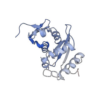 10762_6yan_J_v1-1
Mammalian 48S late-stage translation initiation complex with histone 4 mRNA