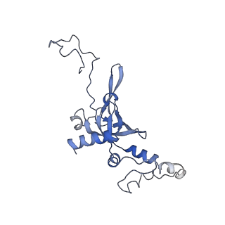 10762_6yan_K_v1-1
Mammalian 48S late-stage translation initiation complex with histone 4 mRNA