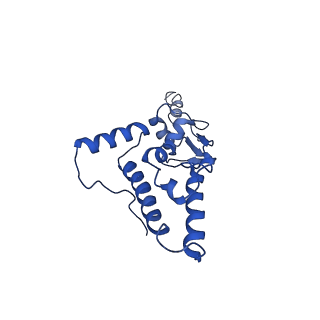 10762_6yan_L_v1-1
Mammalian 48S late-stage translation initiation complex with histone 4 mRNA