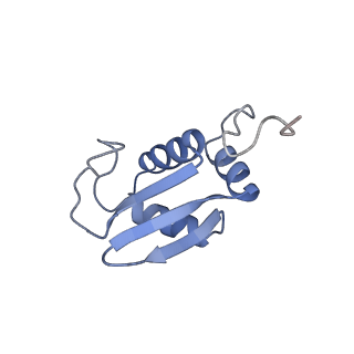 10762_6yan_M_v1-1
Mammalian 48S late-stage translation initiation complex with histone 4 mRNA