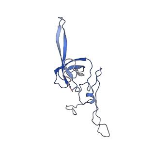 10762_6yan_N_v1-1
Mammalian 48S late-stage translation initiation complex with histone 4 mRNA