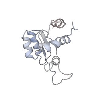 10762_6yan_O_v1-1
Mammalian 48S late-stage translation initiation complex with histone 4 mRNA