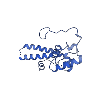 10762_6yan_P_v1-1
Mammalian 48S late-stage translation initiation complex with histone 4 mRNA