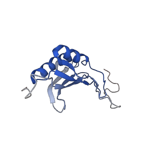 10762_6yan_Q_v1-1
Mammalian 48S late-stage translation initiation complex with histone 4 mRNA