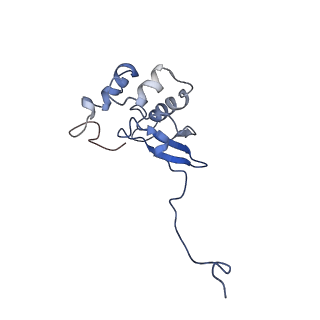 10762_6yan_R_v1-1
Mammalian 48S late-stage translation initiation complex with histone 4 mRNA