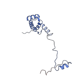10762_6yan_T_v1-1
Mammalian 48S late-stage translation initiation complex with histone 4 mRNA
