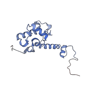 10762_6yan_U_v1-1
Mammalian 48S late-stage translation initiation complex with histone 4 mRNA
