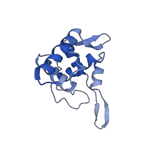 10762_6yan_V_v1-1
Mammalian 48S late-stage translation initiation complex with histone 4 mRNA