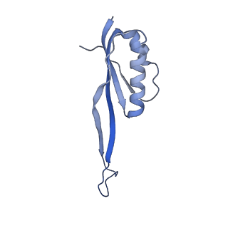 10762_6yan_W_v1-1
Mammalian 48S late-stage translation initiation complex with histone 4 mRNA