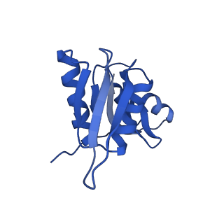10762_6yan_Y_v1-1
Mammalian 48S late-stage translation initiation complex with histone 4 mRNA