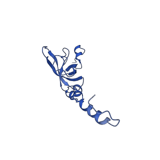 10762_6yan_Z_v1-1
Mammalian 48S late-stage translation initiation complex with histone 4 mRNA
