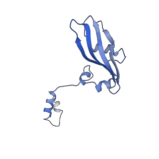 10762_6yan_a_v1-1
Mammalian 48S late-stage translation initiation complex with histone 4 mRNA