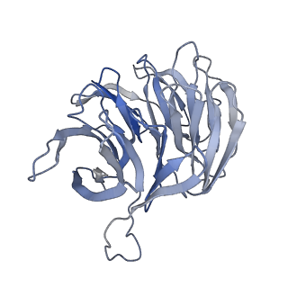 10762_6yan_g_v1-1
Mammalian 48S late-stage translation initiation complex with histone 4 mRNA