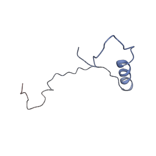 10762_6yan_i_v1-1
Mammalian 48S late-stage translation initiation complex with histone 4 mRNA