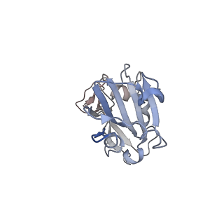 33709_7yad_E_v1-1
Cryo-EM structure of S309-RBD-RBD-S309 in the S309-bound Omicron spike protein (local refinement)