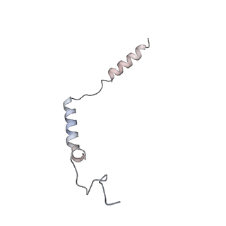 33710_7yae_C_v1-0
Octreotide-bound SSTR2-Gi complex