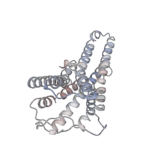33710_7yae_E_v1-0
Octreotide-bound SSTR2-Gi complex