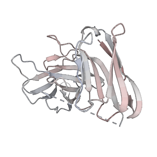 33710_7yae_S_v1-0
Octreotide-bound SSTR2-Gi complex
