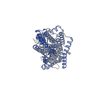 33711_7yag_A_v1-0
CryoEM structure of SPCA1a in E1-Ca-AMPPCP state subclass 1