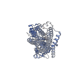 33712_7yah_A_v1-0
CryoEM structure of SPCA1a in E1-Ca-AMPPCP state subclass 2