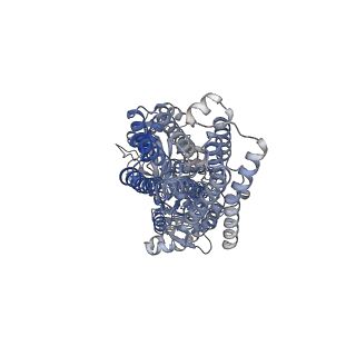 33713_7yai_A_v1-0
CryoEM structure of SPCA1a in E1-Ca-AMPPCP state subclass 3
