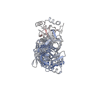 33714_7yaj_A_v1-0
CryoEM structure of SPCA1a in E1-Mn-AMPPCP state subclass 1
