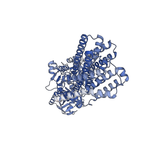 33717_7yam_A_v1-0
CryoEM structure of SPCA1a in E2P state