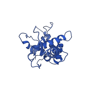 10772_6ybs_V_v1-0
Structure of a human 48S translational initiation complex - head