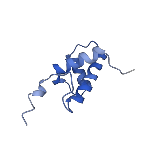 10772_6ybs_X_v1-0
Structure of a human 48S translational initiation complex - head