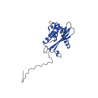 10772_6ybs_Z_v1-0
Structure of a human 48S translational initiation complex - head