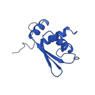 10772_6ybs_a_v1-0
Structure of a human 48S translational initiation complex - head