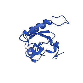 10772_6ybs_b_v1-0
Structure of a human 48S translational initiation complex - head