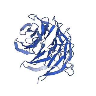 10772_6ybs_c_v1-0
Structure of a human 48S translational initiation complex - head