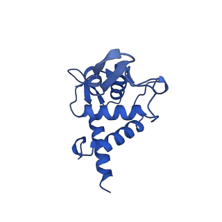10772_6ybs_d_v1-0
Structure of a human 48S translational initiation complex - head