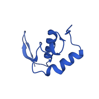 10772_6ybs_e_v1-0
Structure of a human 48S translational initiation complex - head