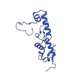 10772_6ybs_f_v1-0
Structure of a human 48S translational initiation complex - head