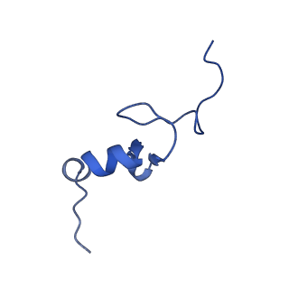 10772_6ybs_i_v1-0
Structure of a human 48S translational initiation complex - head