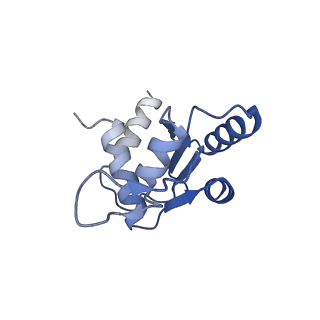 10772_6ybs_m_v1-0
Structure of a human 48S translational initiation complex - head