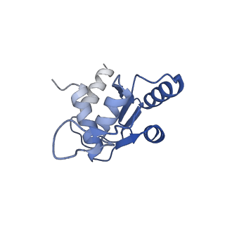10772_6ybs_m_v2-0
Structure of a human 48S translational initiation complex - head