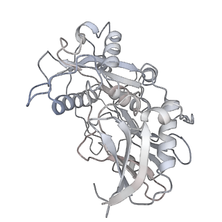 10772_6ybs_x_v1-0
Structure of a human 48S translational initiation complex - head