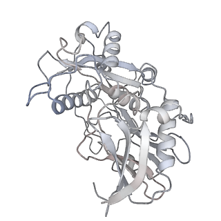 10772_6ybs_x_v2-0
Structure of a human 48S translational initiation complex - head
